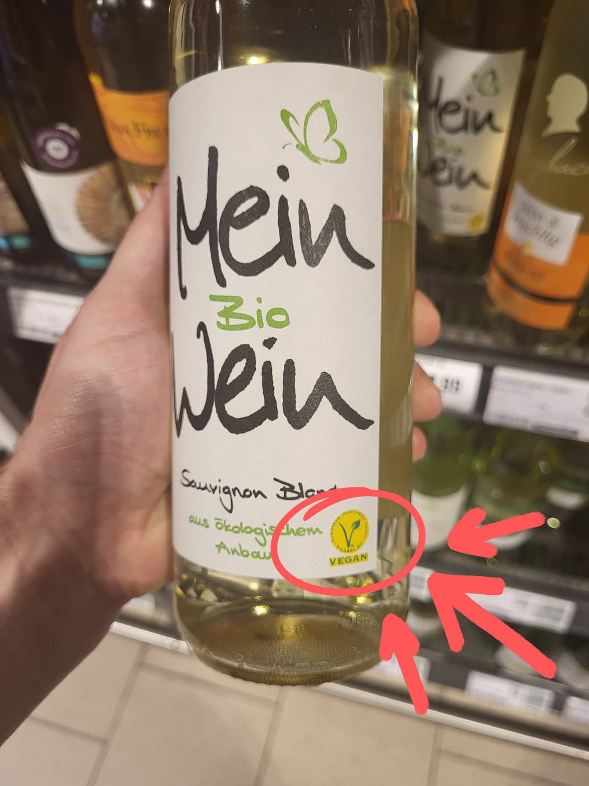 Ist Wein vegan? Achtung Fisch & Gelatine!! (2024)