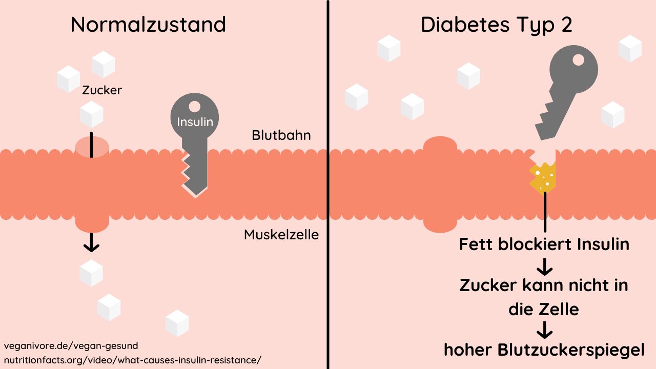 Wie Bekommt Man Diabetes Weg veganivore.de